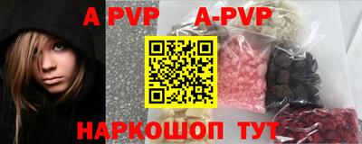 spice Владимир