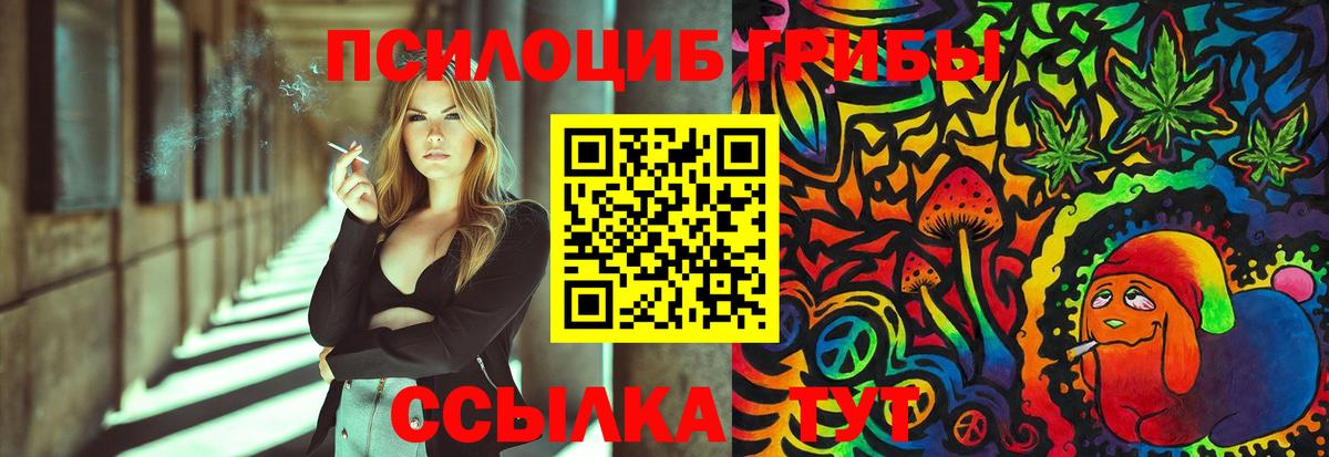 Красногорск  Галлюциногенные грибы MAGIC MUSHROOMS  сколько стоит  Вход с VPN 